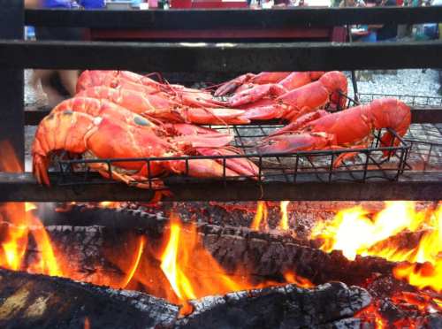 Grilled lobsters on a wire rack over an open flame, with vibrant orange color and glowing embers below.