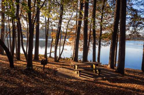 A serene lakeside scene with a picnic table surrounded by trees and autumn foliage, reflecting on calm water.