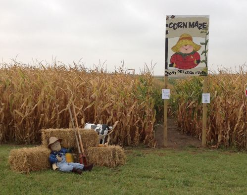 A corn maze entrance with a scarecrow, hay bales, and a sign that says "Don't Get Corn-Fused." Cornfield in the background.