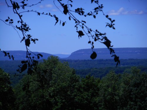 A scenic view of rolling hills and distant mountains, framed by leafy branches against a clear blue sky.