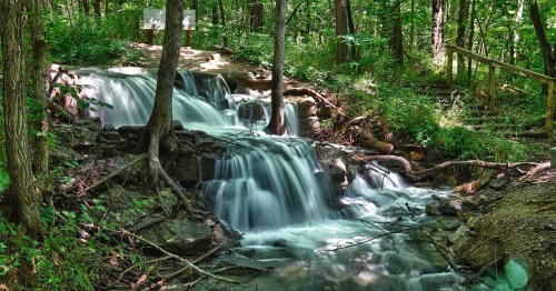 A serene waterfall cascades over rocks in a lush green forest, surrounded by trees and foliage.