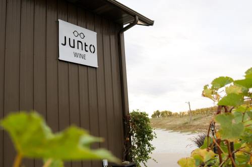 Sign for Junto Wine on a building, with grapevines in the foreground and a vineyard in the background.