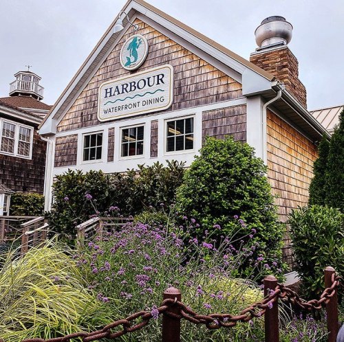 A charming waterfront restaurant with a shingled exterior, surrounded by lush greenery and colorful flowers.