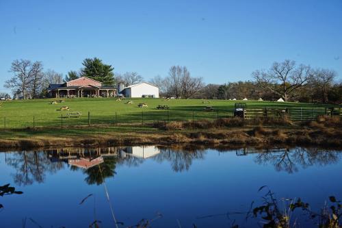 A serene landscape featuring a house and barn by a pond, with green grass and trees under a clear blue sky.