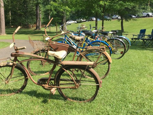 A row of vintage bicycles parked on green grass, with trees and parked cars in the background.