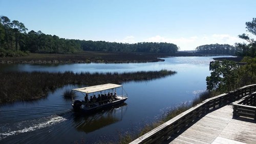 A boat glides through a calm river surrounded by lush greenery and marshland under a clear blue sky.