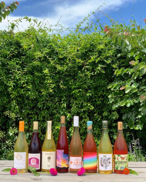 A colorful array of wine bottles lined up on a table, with greenery and a blue sky in the background.