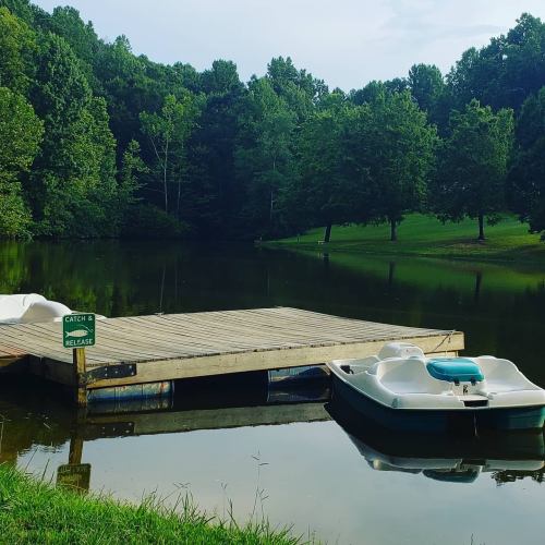A serene lake scene with a wooden dock, paddle boats, and lush green trees reflecting in the water.