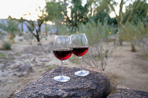 Two glasses of red wine sit on a rock, surrounded by a desert landscape with sparse vegetation and soft evening light.