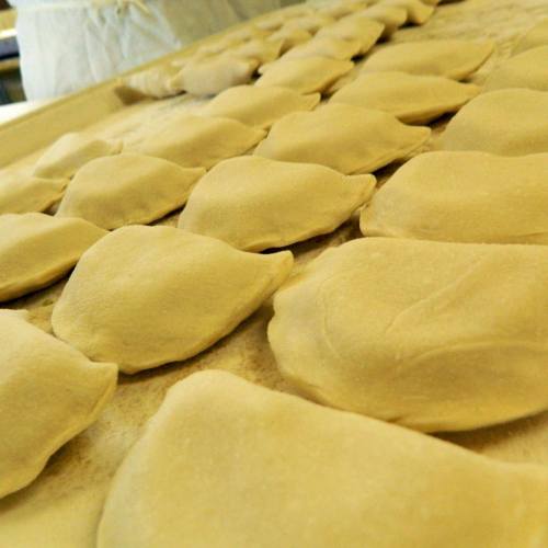 A close-up of uncooked dumplings arranged neatly on a floured surface.