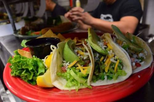 Three tacos filled with lettuce, cheese, and pico de gallo on a red plate, accompanied by a side of chips and salsa.