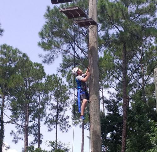 A child in a helmet climbs a tall wooden pole surrounded by trees, with a harness and safety gear.