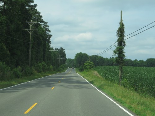 A winding rural road lined with trees and power poles, with a field of green crops on one side under a cloudy sky.