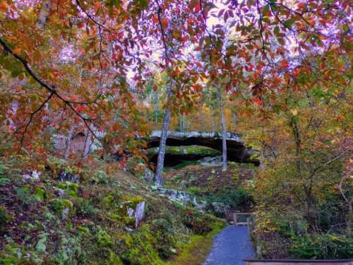 A scenic pathway surrounded by vibrant autumn foliage and a natural rock formation in the background.