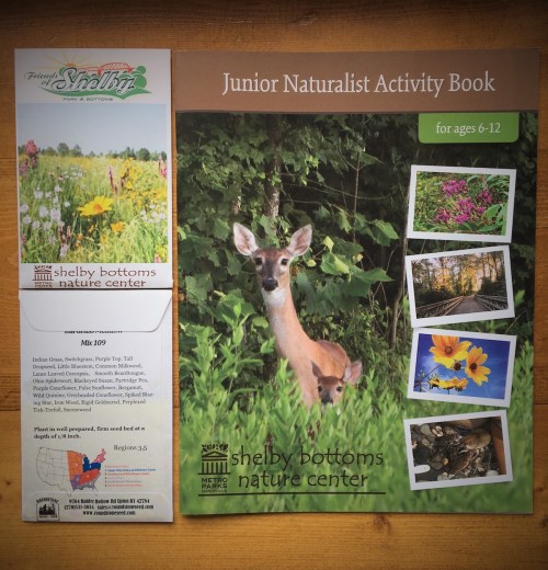 A nature activity book for kids featuring a deer, flowers, and nature scenes, alongside a brochure for Shelby Bottoms.