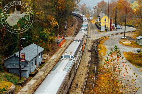 A train winds through a scenic autumn landscape near a small station surrounded by colorful trees.