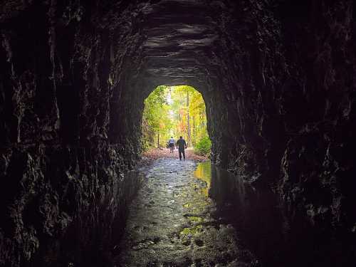 A dark tunnel with a wet floor, leading to a bright, colorful forest in the distance, with two figures walking towards the light.