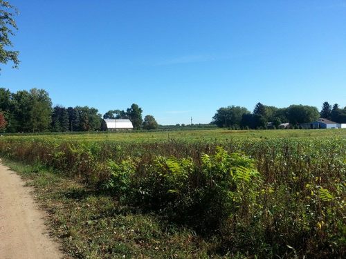 A clear blue sky over a green field with a barn in the distance, surrounded by trees and a dirt path.