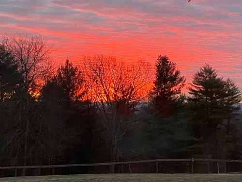 A vibrant sunset with shades of orange and pink behind silhouetted trees and a wooden fence.