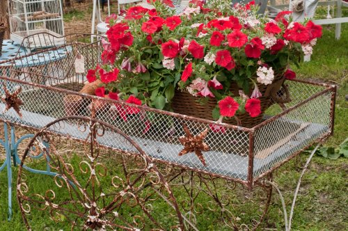 A vintage cart filled with vibrant red and pink flowers, set on a grassy area.