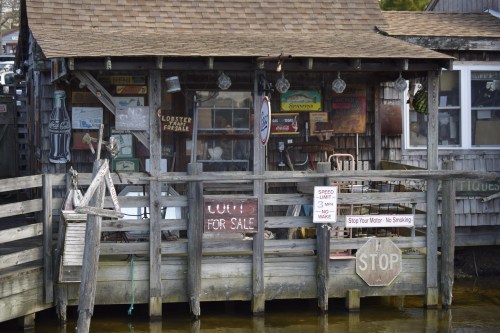 A rustic waterfront shack with signs for lobster sales, a stop sign, and various vintage decorations.
