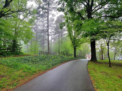 A misty path winds through lush green trees, with a hint of a building in the distance.