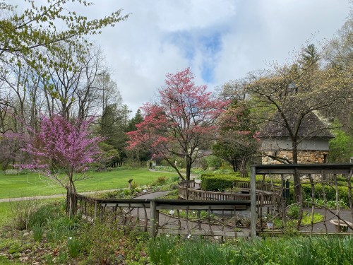 A serene garden scene with blooming pink trees, lush greenery, and a cloudy sky in the background.