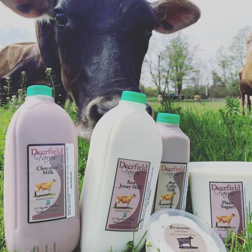 A cow stands in a field next to various dairy products, including chocolate milk, yogurt, and coffee milk.