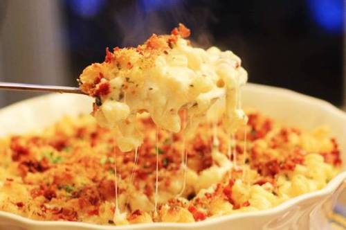 A spoonful of cheesy macaroni and cheese with crispy topping, steaming from a white dish.