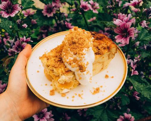 A hand holds a plate of dessert topped with whipped cream and crumbled topping, surrounded by vibrant pink flowers.