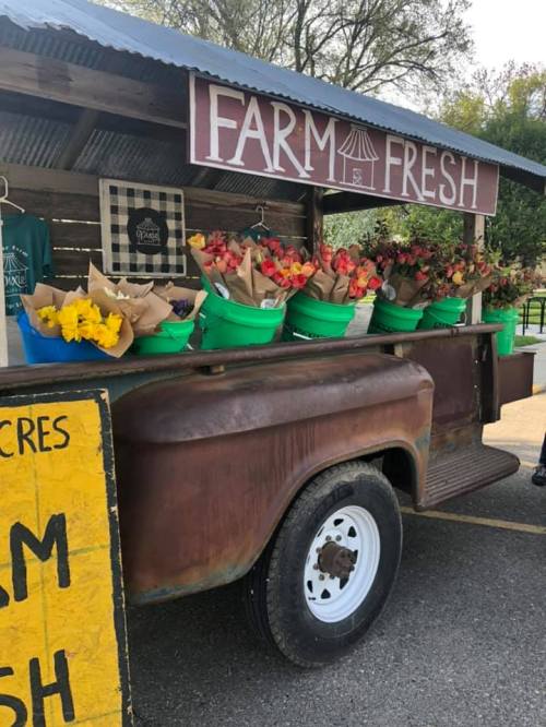 A rustic truck stall displays vibrant flowers in green buckets, with a sign reading "Farm Fresh" above.