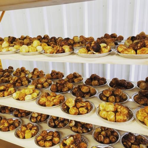 A display of multiple plates filled with round, golden-brown pastries arranged on shelves.