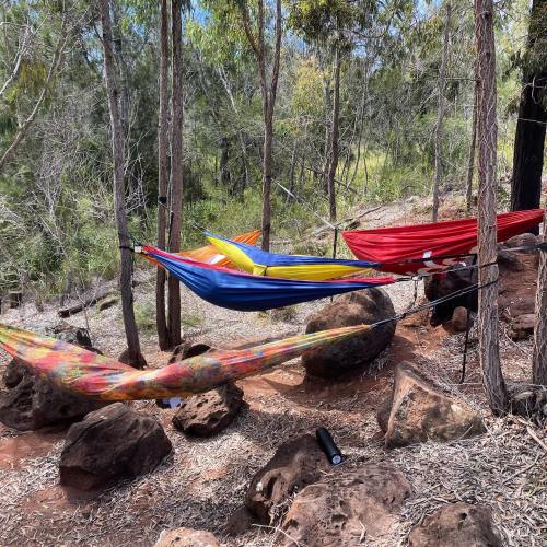Colorful hammocks are strung between trees in a forested area, surrounded by rocks and greenery.