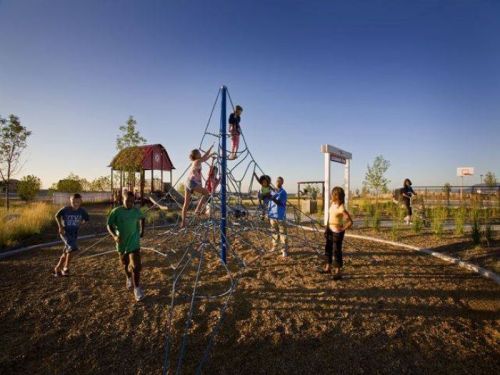 Children playing on a climbing structure in a playground during sunset, with trees and a basketball hoop in the background.