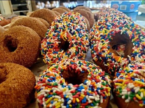 A variety of donuts, including cinnamon sugar and colorful sprinkles, arranged on a tray.