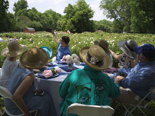 A group of people in hats enjoying a picnic in a flower field, with one person taking a selfie.