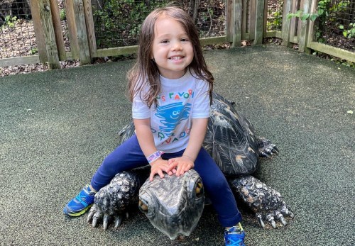 A smiling child sits on a large turtle sculpture in a playground, wearing a colorful t-shirt and blue sneakers.