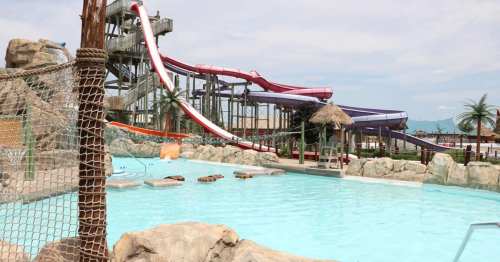 A water park featuring multiple colorful water slides and a large pool surrounded by rocks and palm trees.