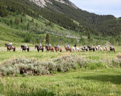 A group of riders on horseback traverses a lush green field with mountains in the background.