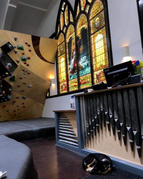 A climbing gym interior featuring a bouldering wall, stained glass windows, and a sleeping cat on the floor.
