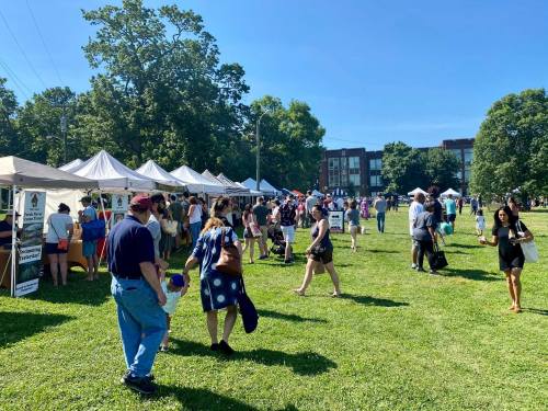 A bustling outdoor market with people browsing tents and enjoying a sunny day in a green park.