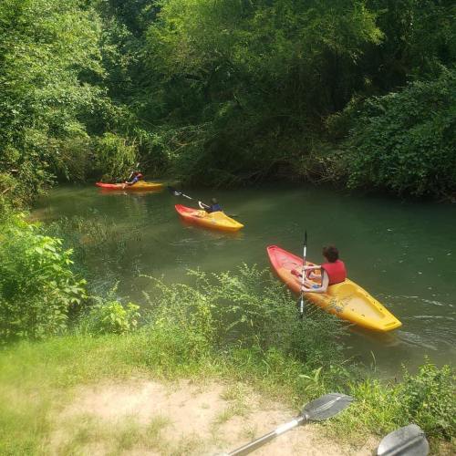 Three people kayaking on a calm river surrounded by lush greenery.