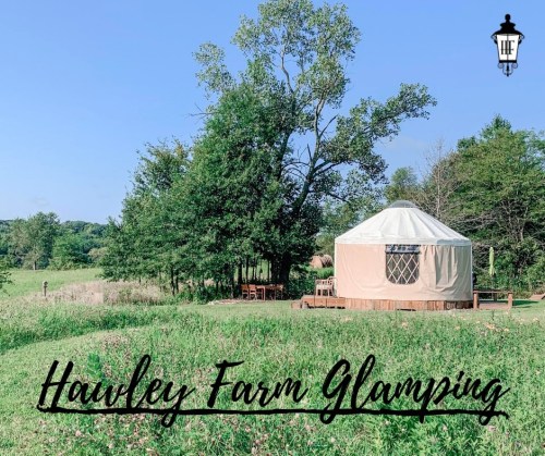 A cozy yurt at Hawley Farm Glamping, surrounded by greenery and trees under a clear blue sky.