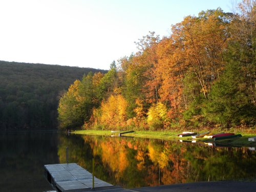 Autumn trees reflect in calm water by a dock, with vibrant orange and yellow foliage under a clear sky.