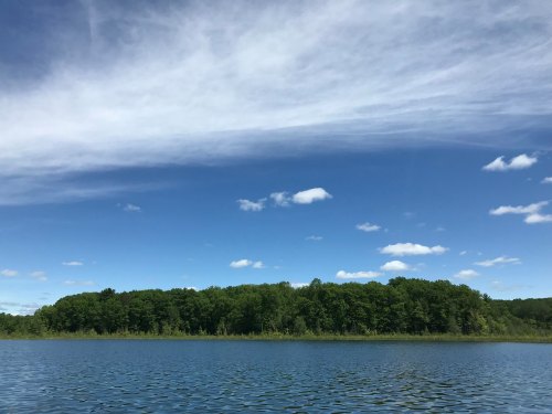 A serene lake scene with clear blue skies, fluffy clouds, and a lush green forest lining the shore.