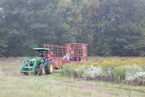 A green tractor pulls a red wagon with people through a field surrounded by trees on a foggy day.