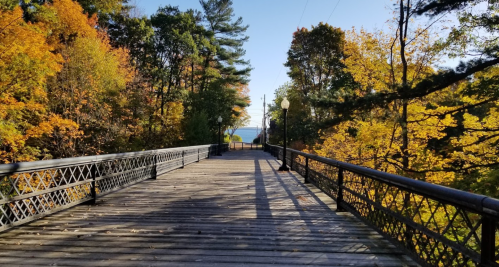A wooden bridge surrounded by vibrant autumn foliage, leading to a view of water in the distance.