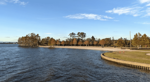 A serene waterfront scene with trees lining the shore and a sandy beach under a clear blue sky.