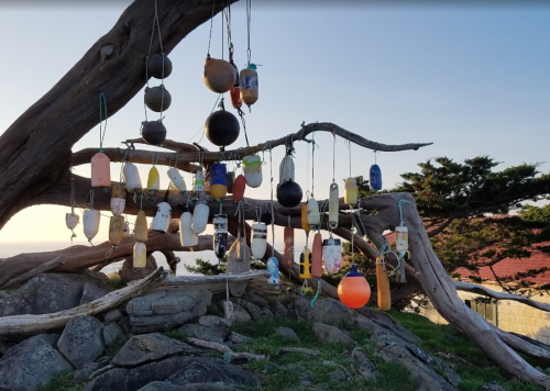 Colorful buoys hanging from a tree branch, with a scenic view of rocks and trees in the background.