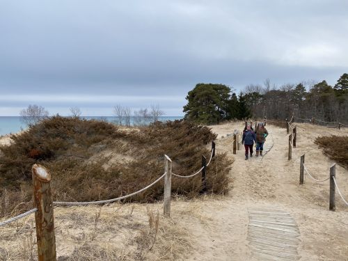 A sandy path leads to a beach, with people walking and trees in the background under a cloudy sky.